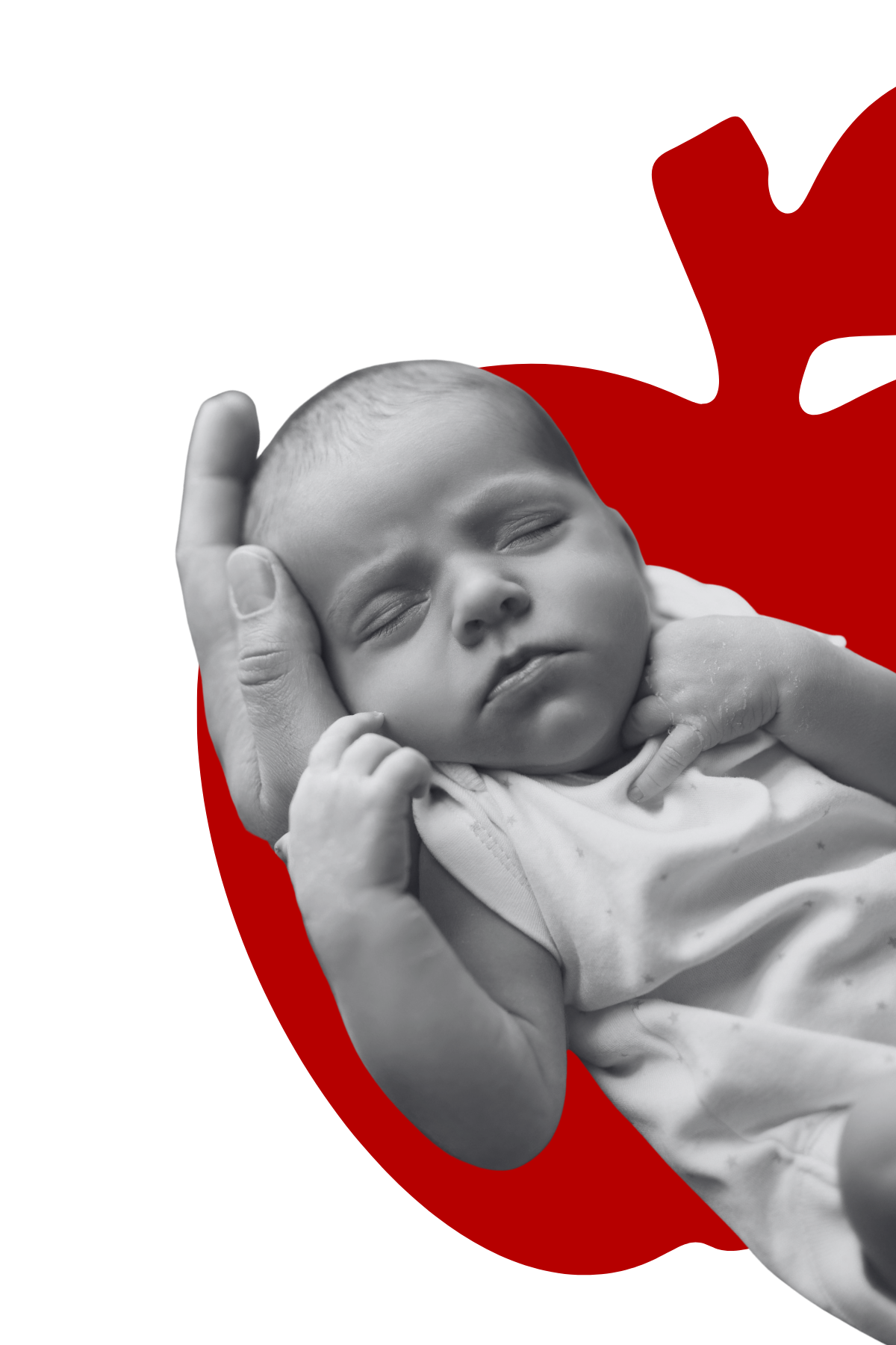Apple United for Life 2